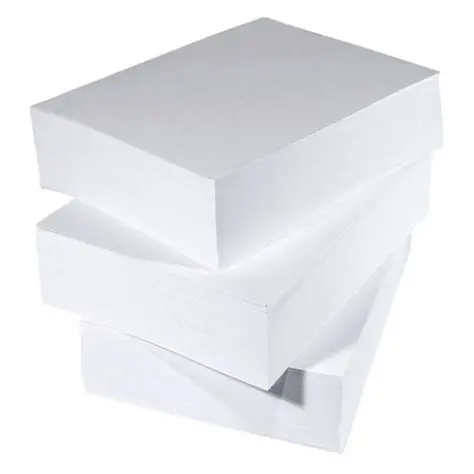 Exploring The Diversity Of Paper: Types, Uses, And Sustainability